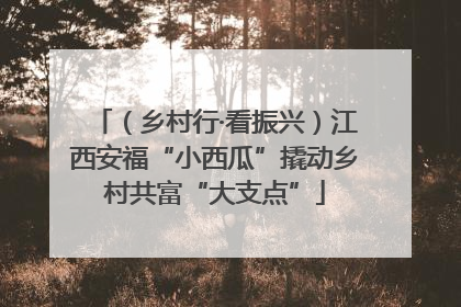（乡村行·看振兴）江西安福“小西瓜”撬动乡村共富“大支点”