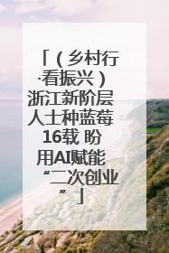 （乡村行·看振兴）浙江新阶层人士种蓝莓16载 盼用AI赋能“二次创业”