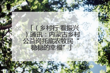 （乡村行·看振兴）通讯：内蒙古乡村公益岗托底农牧民“稳稳的幸福”