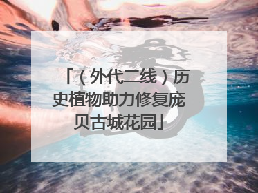 （外代二线）历史植物助力修复庞贝古城花园
