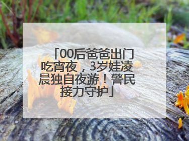 00后爸爸出门吃宵夜，3岁娃凌晨独自夜游！警民接力守护
