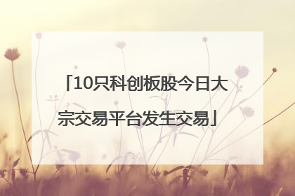 10只科创板股今日大宗交易平台发生交易