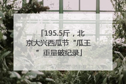 195.5斤，北京大兴西瓜节“瓜王”重量破纪录