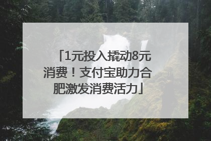 1元投入撬动8元消费！支付宝助力合肥激发消费活力