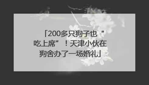 200多只狗子也“吃上席”！天津小伙在狗舍办了一场婚礼