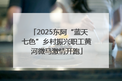 2025东阿“蓝天七色”乡村振兴职工黄河微马激情开跑