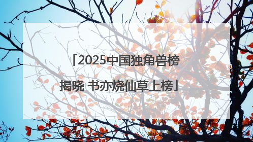 2025中国独角兽榜揭晓 书亦烧仙草上榜