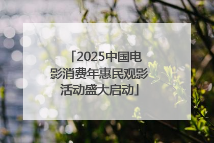 2025中国电影消费年惠民观影活动盛大启动