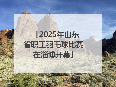 2025年山东省职工羽毛球比赛在淄博开幕