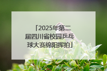 2025年第二届四川省校园乒乓球大赛绵阳挥拍