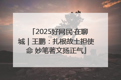 2025好网民·在聊城｜王鹏：扎根故土担使命 妙笔著文扬正气