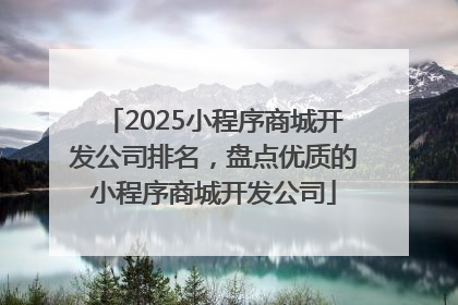 2025小程序商城开发公司排名，盘点优质的小程序商城开发公司