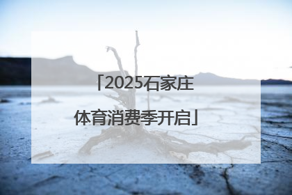 2025石家庄体育消费季开启