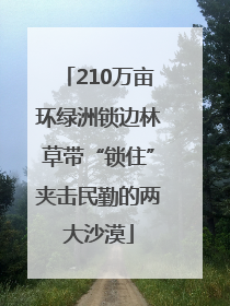 210万亩环绿洲锁边林草带“锁住”夹击民勤的两大沙漠