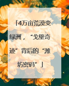4万亩荒漠变绿洲，“戈壁奇迹”背后的“潍坊密码”