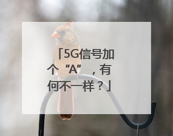 5G信号加个“A”，有何不一样？