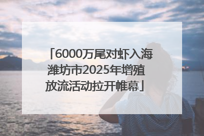 6000万尾对虾入海 潍坊市2025年增殖放流活动拉开帷幕