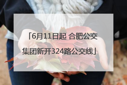 6月11日起 合肥公交集团新开324路公交线