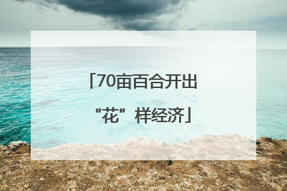 70亩百合开出“花”样经济