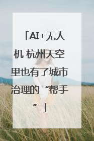 AI+无人机 杭州天空里也有了城市治理的“帮手”
