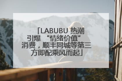 LABUBU 热潮引爆 “情绪价值” 消费，顺丰同城等第三方即配乘风而起