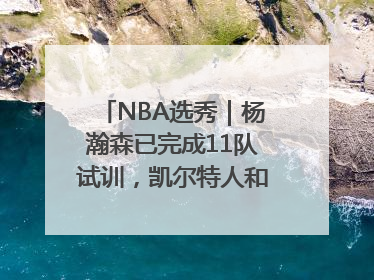NBA选秀｜杨瀚森已完成11队试训，凯尔特人和太阳更适合他