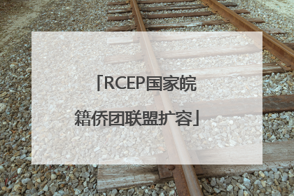 RCEP国家皖籍侨团联盟扩容